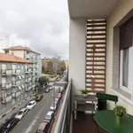 Rent 1 bedroom apartment in milan