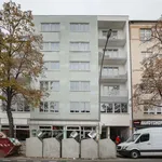 Rent a room of 75 m² in Berlin