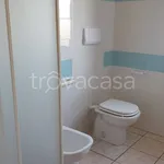 Rent 2 bedroom apartment of 55 m² in San Teodoro