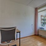 Roomolenstraat, Leidschendam - Amsterdam Apartments for Rent