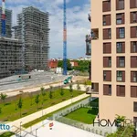 Rent 2 bedroom apartment of 64 m² in Milan