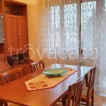 Rent 3 bedroom apartment of 105 m² in Padova