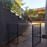 Rent 2 bedroom apartment of 65 m² in Catania