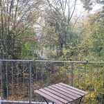 Rent 2 bedroom apartment of 50 m² in Berlin