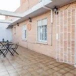 Rent 5 bedroom apartment in Valencia