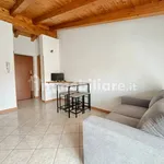 Rent 2 bedroom apartment of 50 m² in Lissone