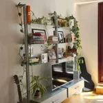 Rent 1 bedroom apartment in berlin