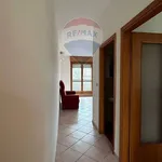 Rent 6 bedroom apartment of 85 m² in Ferrara