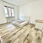 Rent 4 bedroom apartment of 100 m² in Piacenza