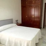 Rent a room in cordoba