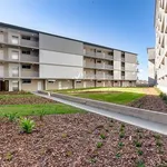 Rent 2 bedroom apartment in Marrickville