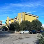 Rent 3 bedroom apartment of 80 m² in Roma