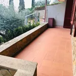 Rent 4 bedroom apartment of 80 m² in Castiglione della Pescaia