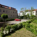 Rent 3 bedroom apartment of 102 m² in Leipzig