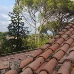 Rent 10 bedroom house of 350 m² in Roma