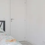 Rent a room in madrid