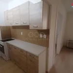 Rent 2 bedroom apartment of 52 m² in Ústí nad Labem