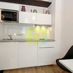 Rent 1 bedroom apartment of 25 m² in Praha