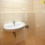 Rent 2 bedroom apartment of 69 m² in České Budějovice