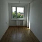 Rent 4 bedroom apartment of 64 m² in Ostrów