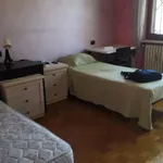 Rent a room in turin