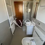 Rent 1 bedroom apartment of 30 m² in Milano