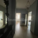 Rent 2 bedroom apartment of 60 m² in Turin