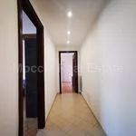 Rent 3 bedroom apartment of 115 m² in Caserta