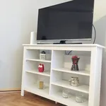 Rent 1 bedroom apartment in Prague