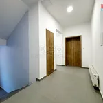 Rent 3 bedroom apartment in Hodonín