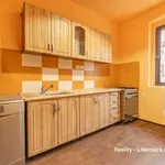 Rent 1 bedroom house of 195 m² in Ústí nad Labem