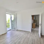 Rent 2 bedroom apartment of 55 m² in Ústí nad Labem