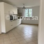 Miete 3 Schlafzimmer wohnung von 60 m² in Lugano