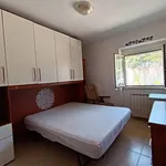 Rent 3 bedroom apartment of 60 m² in Fiumicino