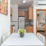 Rent 1 bedroom apartment in malaga