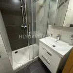 Rent 1 bedroom apartment of 27 m² in Capital City of Prague