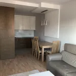 Rent 3 bedroom apartment of 65 m² in Olsztyn