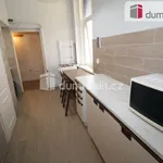 Rent 3 bedroom apartment of 100 m² in Mariánské Lázně