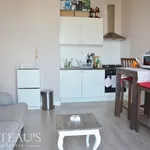 Rent 1 bedroom apartment of 30 m² in The Hague