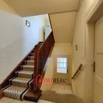 Rent 1 bedroom apartment in Brno