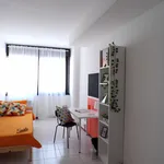 Rent 9 bedroom apartment in Trento