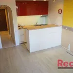 Rent 1 bedroom apartment of 28 m² in Brno