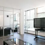 Rent 1 bedroom apartment in madrid