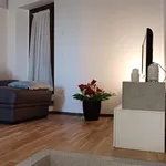 Rent 6 bedroom house of 123 m² in Terricciola