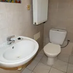 Rent 1 bedroom apartment of 35 m² in České Budějovice