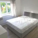 Rent 7 bedroom house in Worcester