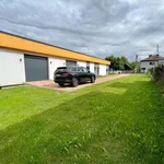 Pronajměte si 3 ložnic/e dům o rozloze 840 m² v Albrechtice