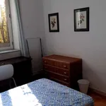 Rent a room of 20 m² in rome