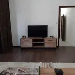 Rent 2 bedroom apartment of 65 m² in Каменица 1