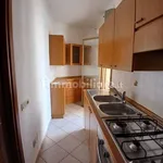 Rent 4 bedroom apartment of 180 m² in Grosseto